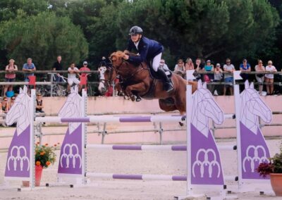 Élevage de poneys et chevaux : concours de saut Cavalier franchissant un obstacle violet devant des spectateurs