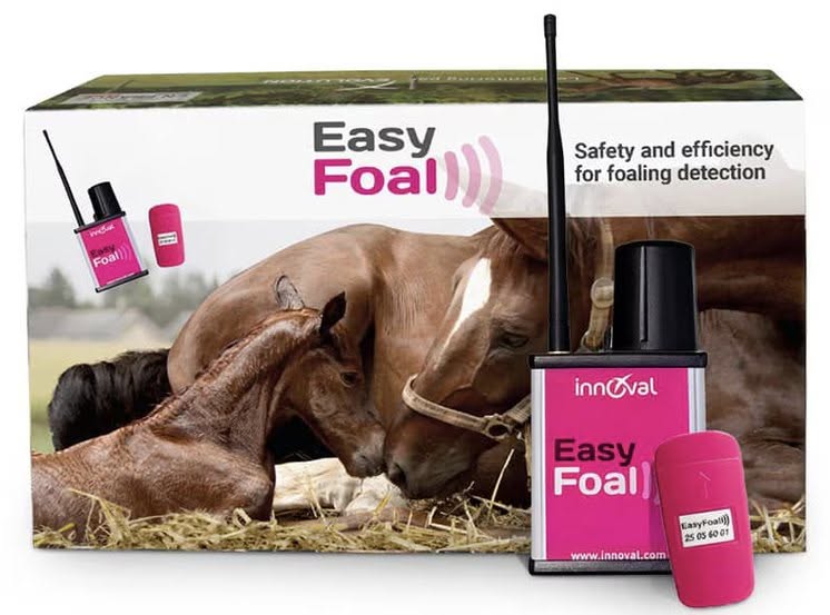 818762339_39068220389443063_3073683017615010045_n