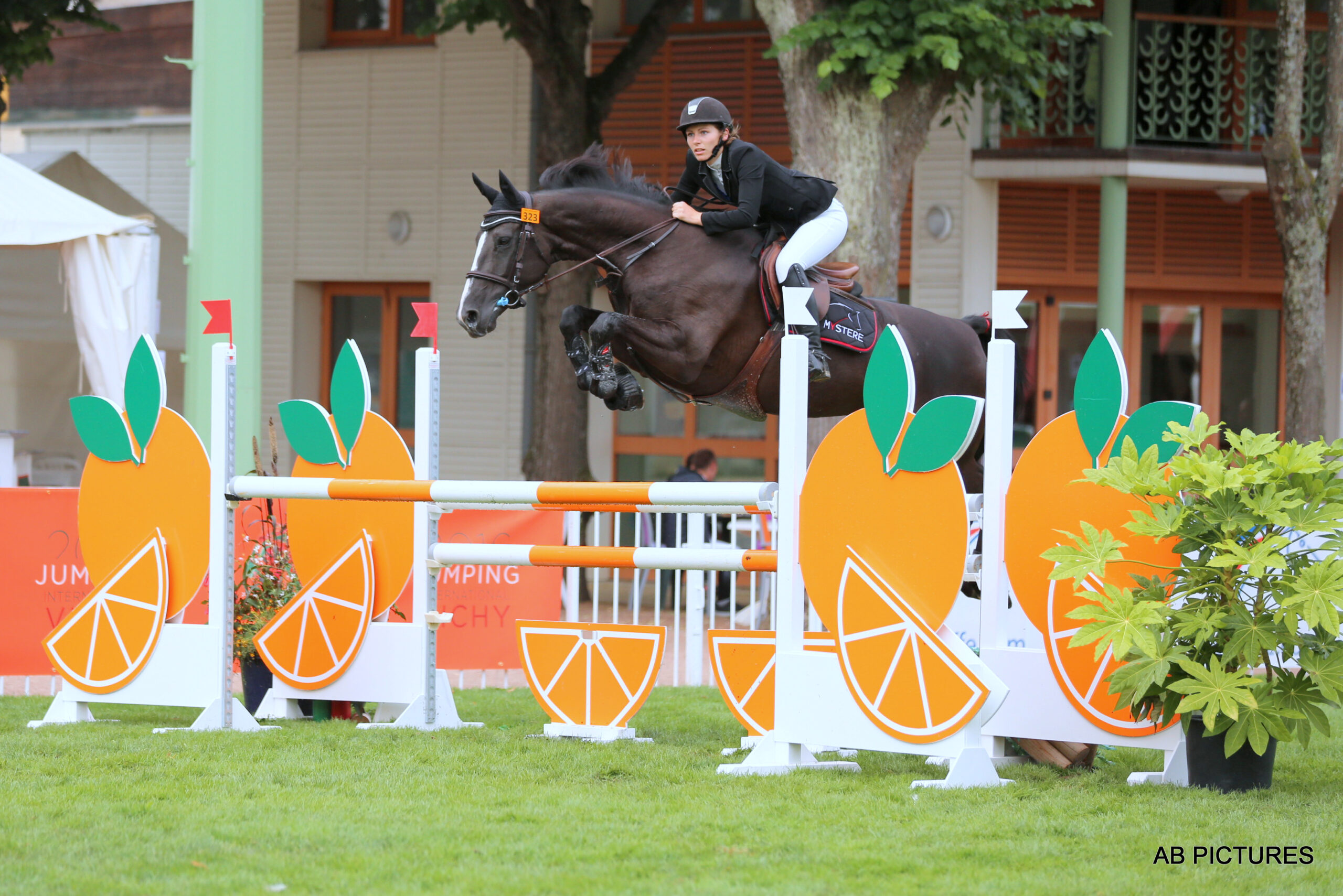 IMG_4327 Cavalier et cheval franchissant un obstacle de saut d’obstacles
