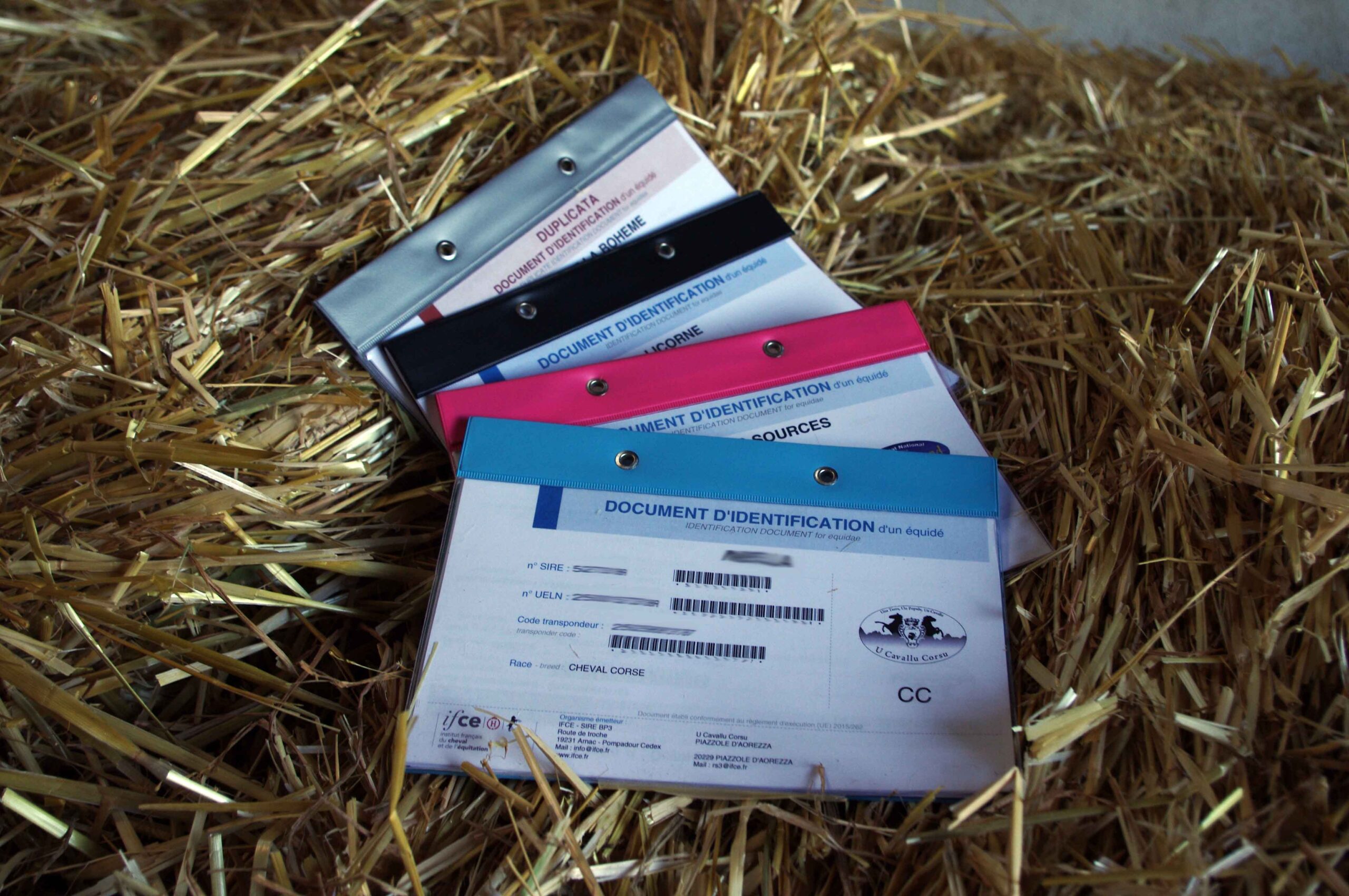 SIRE-Nouveaux-documents-1