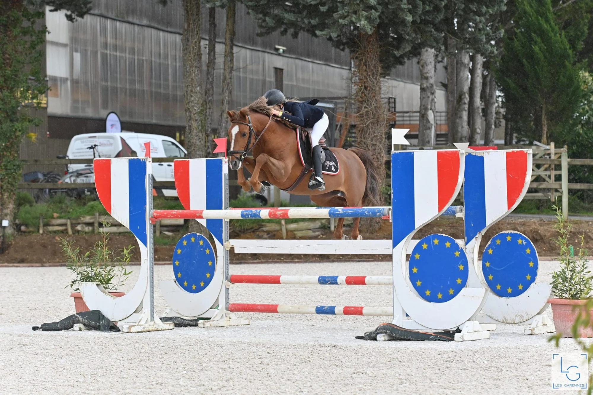 Cavalier et cheval franchissant un obstacle décoré de motifs européens.
