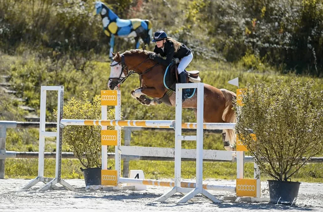 Embryon: Tutti Quanti Joyeuse (Iowa) et Goldwyn d&rsquo;Embets (Blue Tinka Tilia)