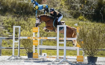 Embryon: Tutti Quanti Joyeuse (Iowa) et Goldwyn d&rsquo;Embets (Blue Tinka Tilia)